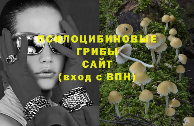 Псилоцибиновые грибы Magic Shrooms  Болгар 